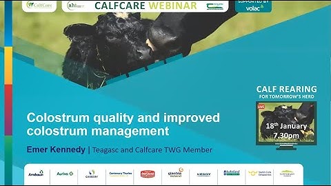 Colostrum quality and improved colostrum management