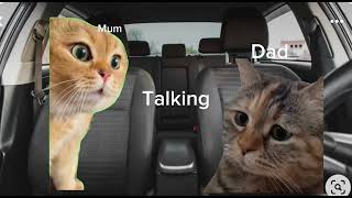 POV what it’s like driving to my Oma and Opa’s place cat meme