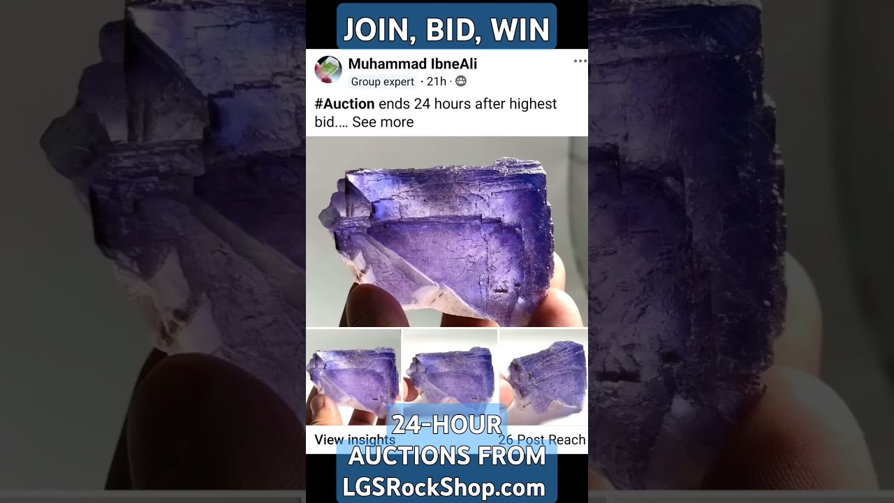 Go to our Auction page on our website JOIN our Facebook auction group BID & WIN LGSRockShop.com