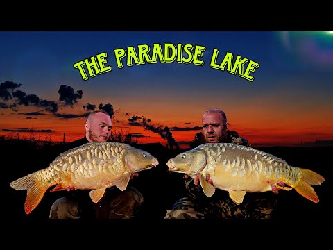 The Paradise Lake - peche a la carpe