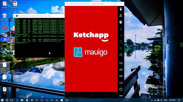 Dynamic Analysis for System Calls