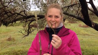 Picking WILD Asparagus! | Learning how to forage in Italy