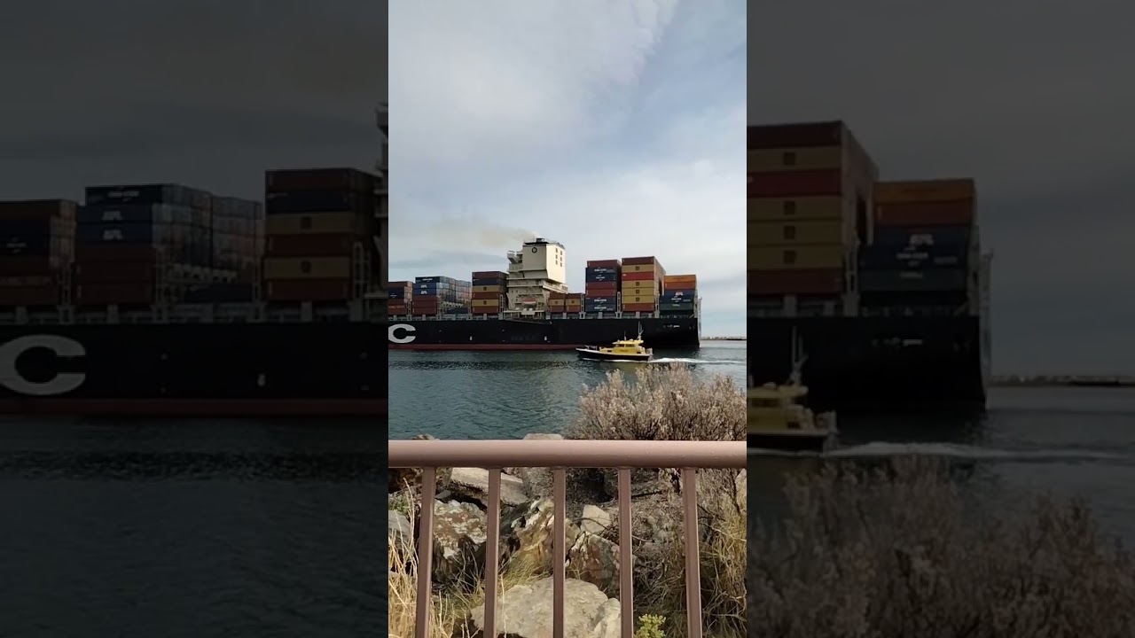 MSC Tomoko Panama Container Ship 🚢