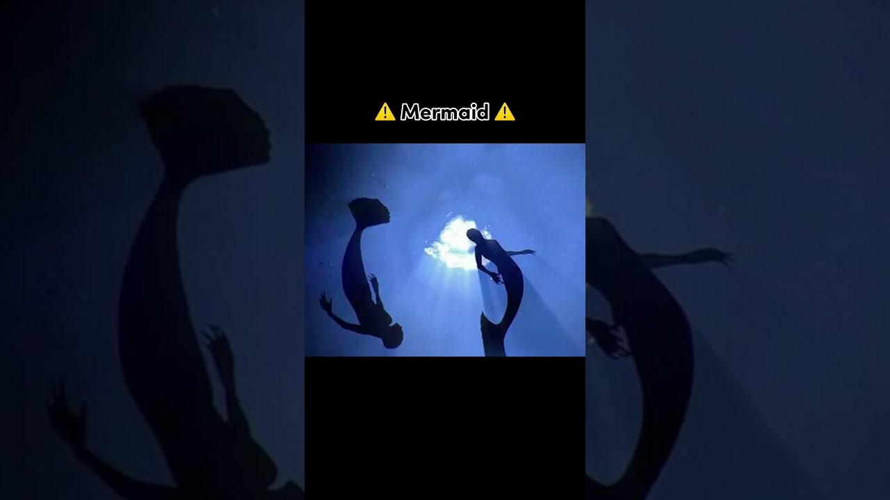 Mythical Creatures Caught On Camera Shorts