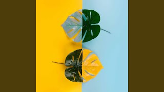 Simplistic Trumpet Jazz Trio - Vibe for Cleaning Mindset