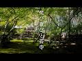 京都 侘び寂びと苔寺 | Moss and Wabi-Sabi Gardens in Kyoto