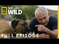 Canine quarantine full episode  cesar millan better human better dog