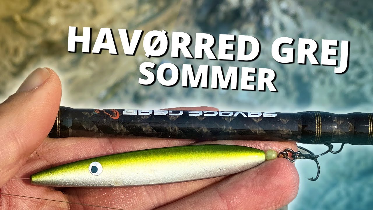 Best Summer Lures For Sea Trout Fishing? - Beginners Tips! 