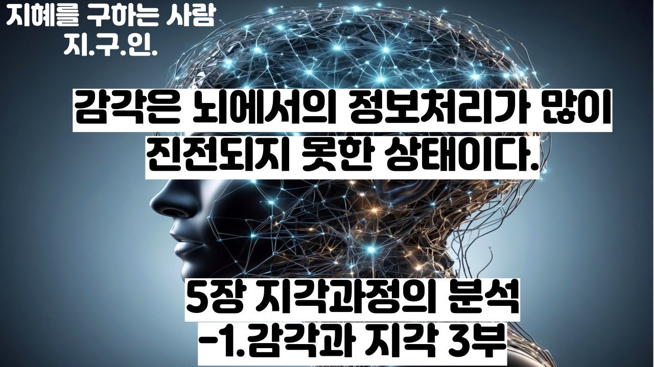 불교와 인지과학 5장 지각과정의 분석- 1. 감각과 지각 3부 - YouTube
