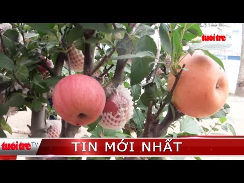 Video ⚡ Tin mới nhất | 