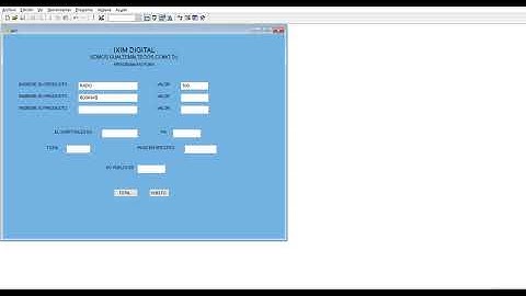 Microsoft Visual FoxPro 2020 08 17 13 09 04