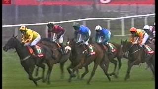 2002 lnternet Trophy Handicap Chase screenshot 2