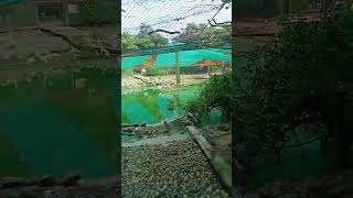 Biwi Ek Anmol Tohfa Hai