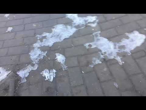 o mica plimbare cu prieteni doi. o mica plimbare cu prieteni doi.