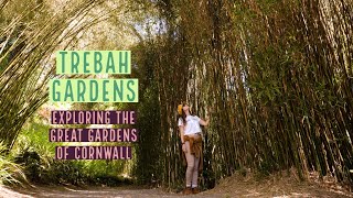 Trebah Garden | Great Gardens of Cornwall