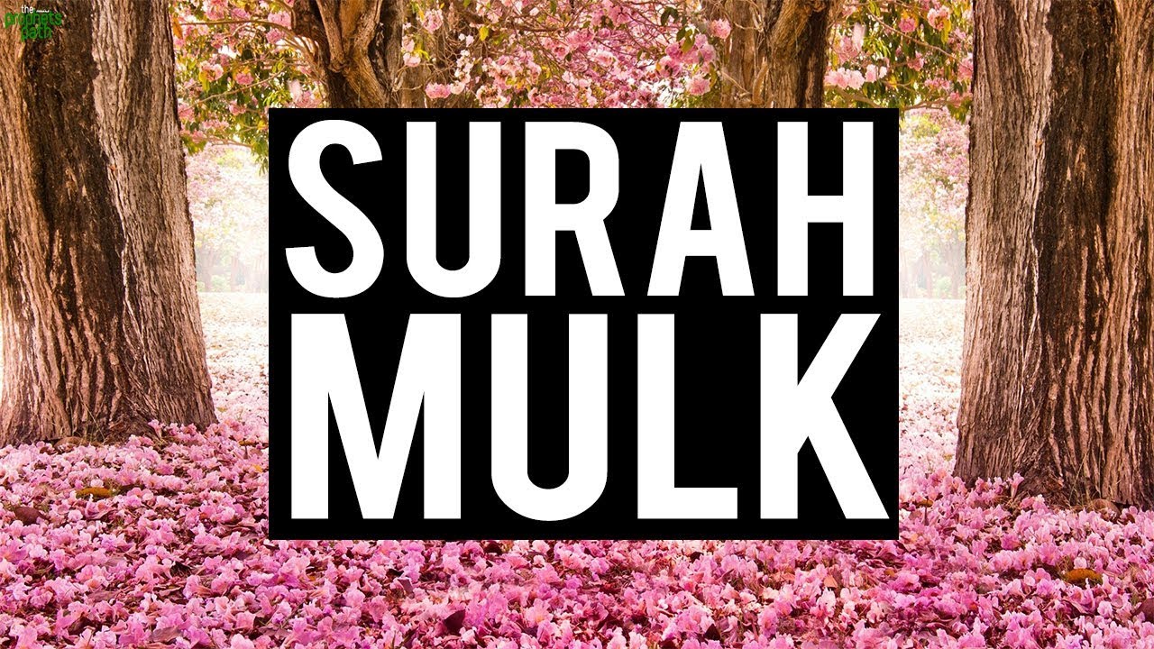 Surah Mulk Very Soothing Soothe Novelty Sign Guidance