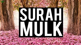 SURAH MULK (VERY SOOTHING) screenshot 4