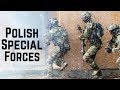 Polish Special Forces • JWK / GROM