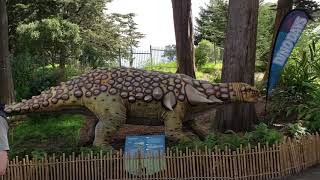 Dinodays @calacademy