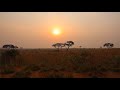 African Wildlife Safari: Nile River and Murchison Falls National Park, Uganda