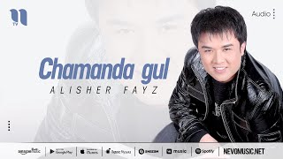 Alisher Fayz - Chamanda gul (music version)