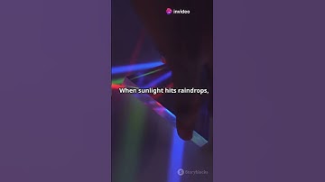 Refraction of light #shorts #ytshorts #viralshorts #refraction #sciencefacts