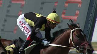 Vidéo de la course PMU PRIX BLUE ME (2014)