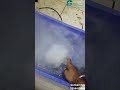 4 head Mist Maker Plate (Ultrasonic) #mistmaker #garuutechnology #youtubeshorts #ytshorts #viral