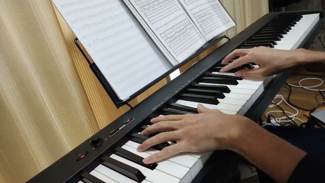 X JAPAN - ART OF LIFE (Full Piano cover)