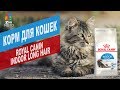 Корм для кошек ROYAL CANIN INDOOR LONG HAIR | Обзор корма для кошек ROYAL CANIN INDOOR LONG HAIR