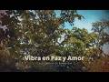 528 Hz - Vibra en Paz y Amor | Sandy Saviñón | Visualizer