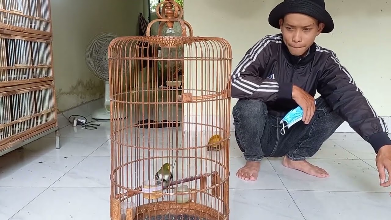 Chim Huýt Cô mồi 3tr Bán cho e Trai Nhơn Trạch lên Tận Nhà mua luôn. Đam Mê là Bất Chấp.