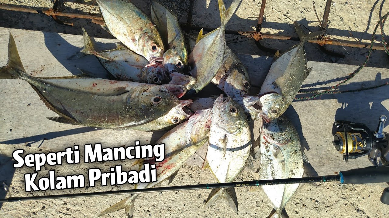 NO TIPU-TIPU.. UMPAN SAYA TERLALU AMIS DI SPOT INI 