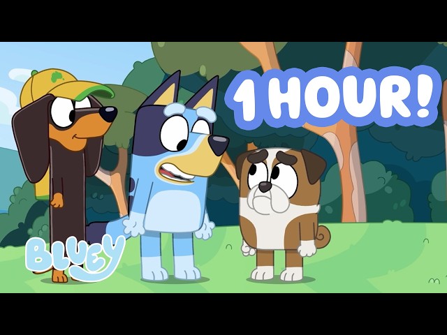 Video: Bluey and Snickers Cheer Up Winton at School ✨ ☺️ | Bluey Being a Friend 💙 | 1 HOUR | Bluey
