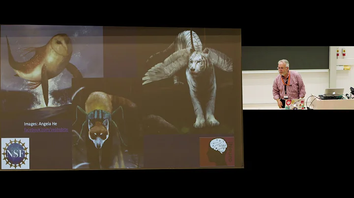 Session 3: Training in neuroinformatics...  Keynot...