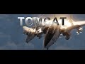 Dcs world movie tomcat love