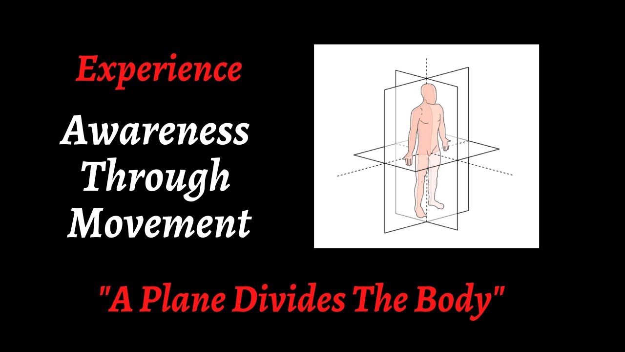 Awareness Through Movement: "A Plane Divides the Body"