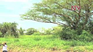 Settlers in oil-rich Hoima areas ordered to vacate land