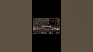 ما تيسر من سورة الأحزاب للقارئ ماهر المعيقلي #قرآن #قران_كريم #quran