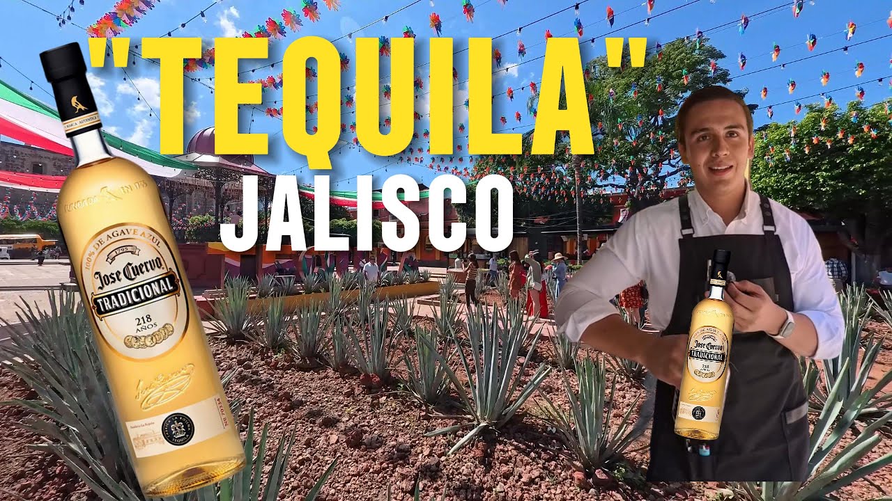 SI  PIENSAS VISITAR TEQUILA JALISCO ?UN DIA NO TE VA ALCANZAR