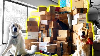 OUR BIGGEST PO BOX OPENING YET (Super Cooper Sunday #228)