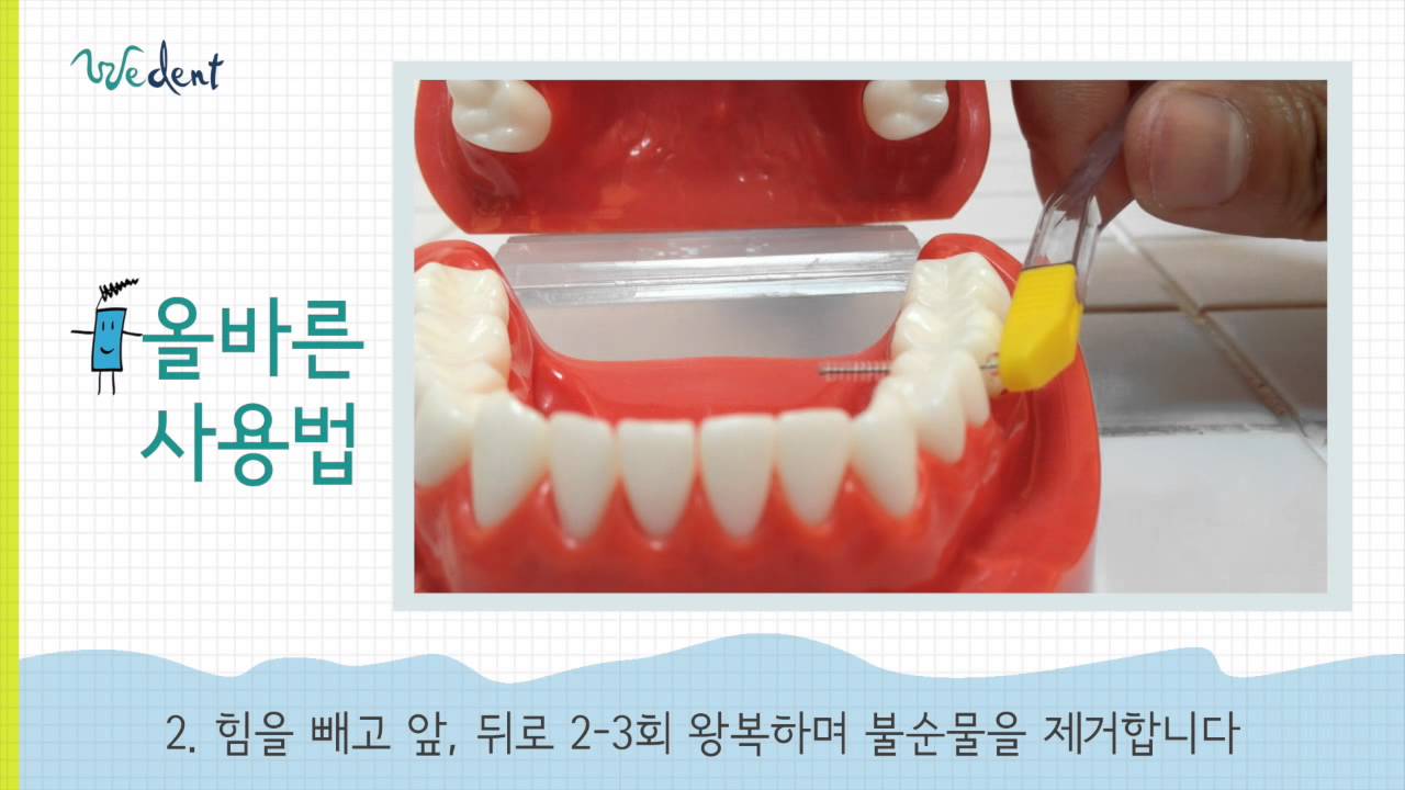 [위덴] 치간 칫솔 사용법 - Youtube