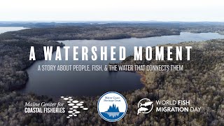 A Watershed Moment | TRAILER
