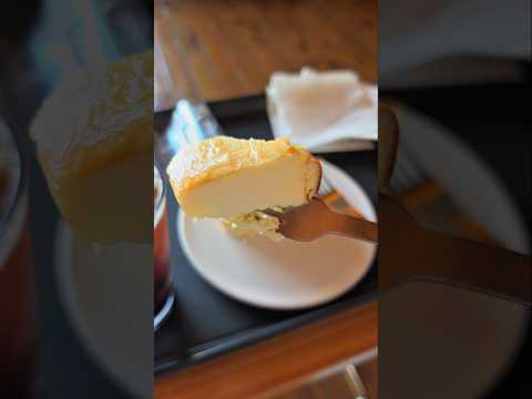 치즈케익도 맛있고 분위기도 좋다(카페숨)