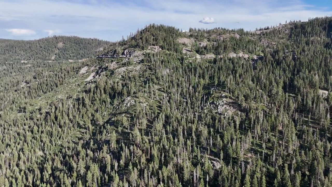 Donner Lake Scenic Overlook - July 2nd, 2025 #1