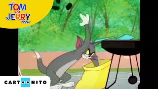 Tom ve Jerry | Oyunlar | Cartoonito Türkiye Resimi