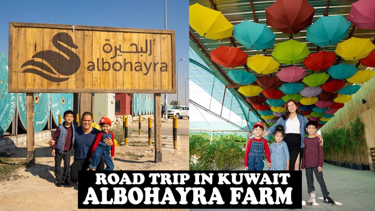 places to visit in abdali kuwait
