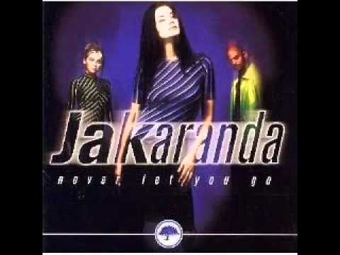 jakaranda never let you go
