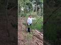 jiska jitna Ho Aanchal #trending #viral#bollywoodsongs #YouTube#short#video