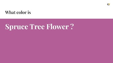 Spruce Tree Flower color #b35e97 hex color - Red color - Cool color b35e97